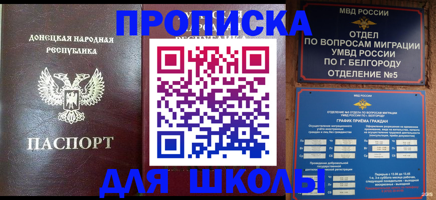 прописка для работы в Камчатском крае